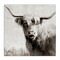 Stupell Industries Black & White Highland Cow Canvas Wall Art Design by Danita Delimont